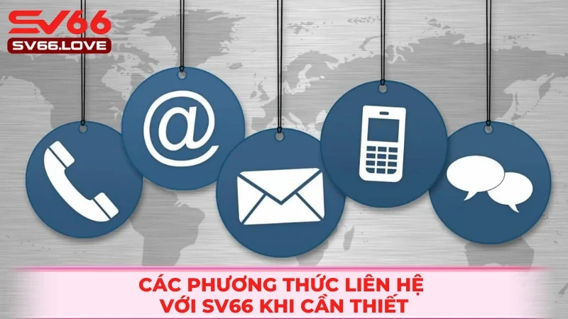 5 phương thức liên hệ nhanh chóng bạn nên biết